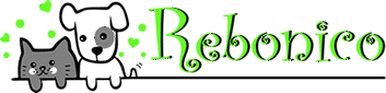 Rebonico Logo